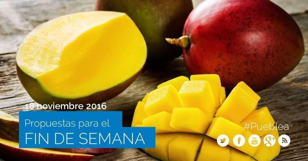 14 propuestas para el fin de semana (18 noviembre 2016) imagenPost 2