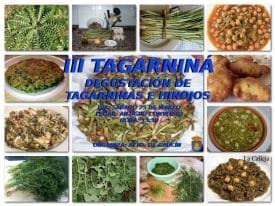 III Tagarnina