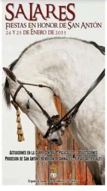 Fiestas de San Antón