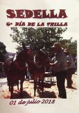 VI Día de la Trilla