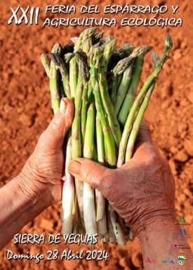 XXII Feria del Espárrago y la Agricultura Ecológica