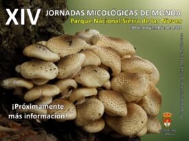 XIV Jornada Micológica de Monda