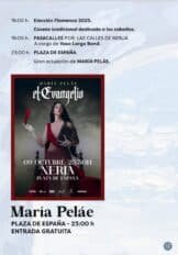 Feria de Nerja