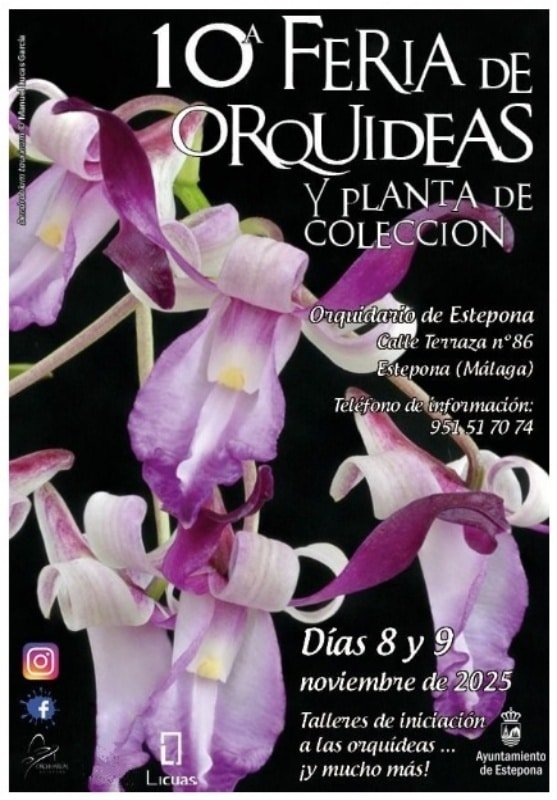 Feria de Orquídeas y Planta de Colección