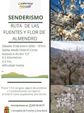 Ruta de las Fuentes y Ruta Madroñal y Cerro Mallén