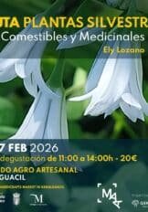 Mercado Agro-Artesanal