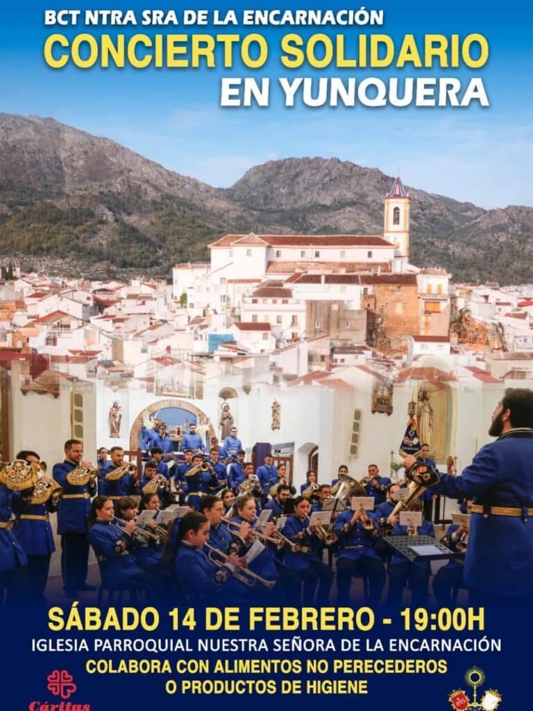 Concierto Solidario