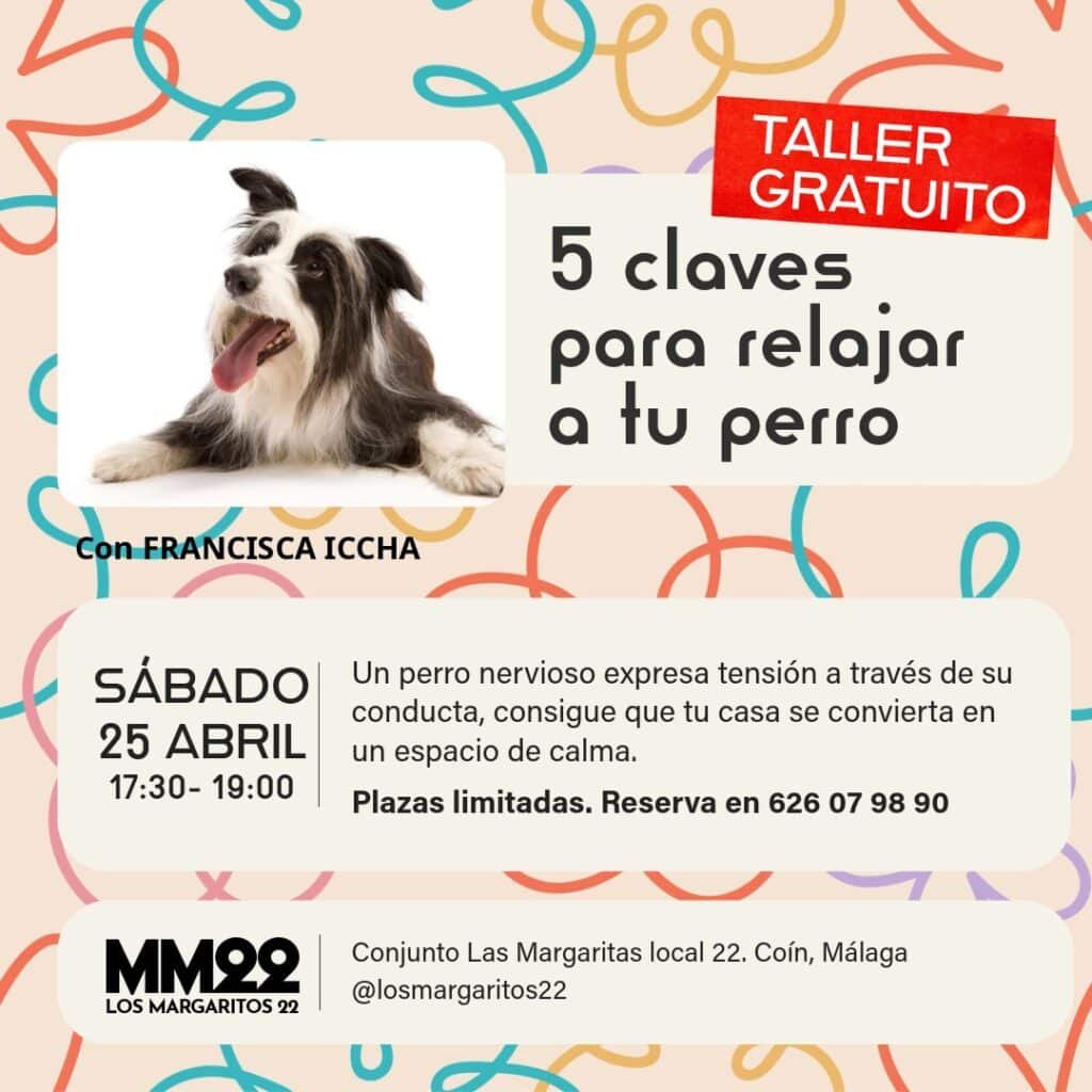 Taller Gratuito: 5 claves para relajar a tu perro