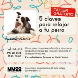 Taller Gratuito: 5 claves para relajar a tu perro