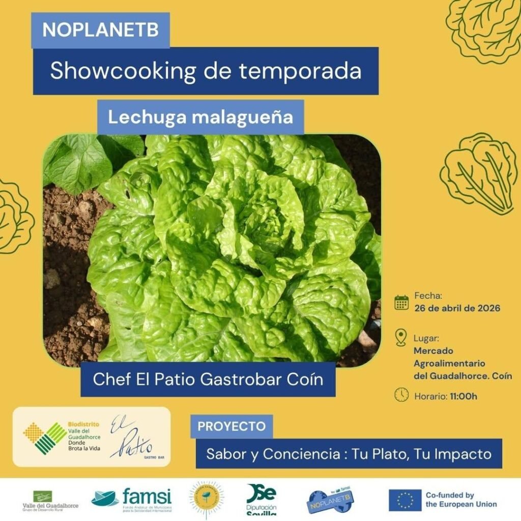 Showcooking con lechuga malagueña