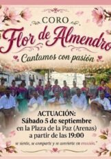 Fiesta de las Candelarias