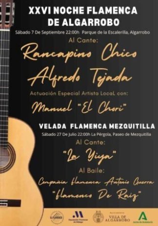 Cartel-Noche-Flamenca-Algarrobo-2024-e1721388961748